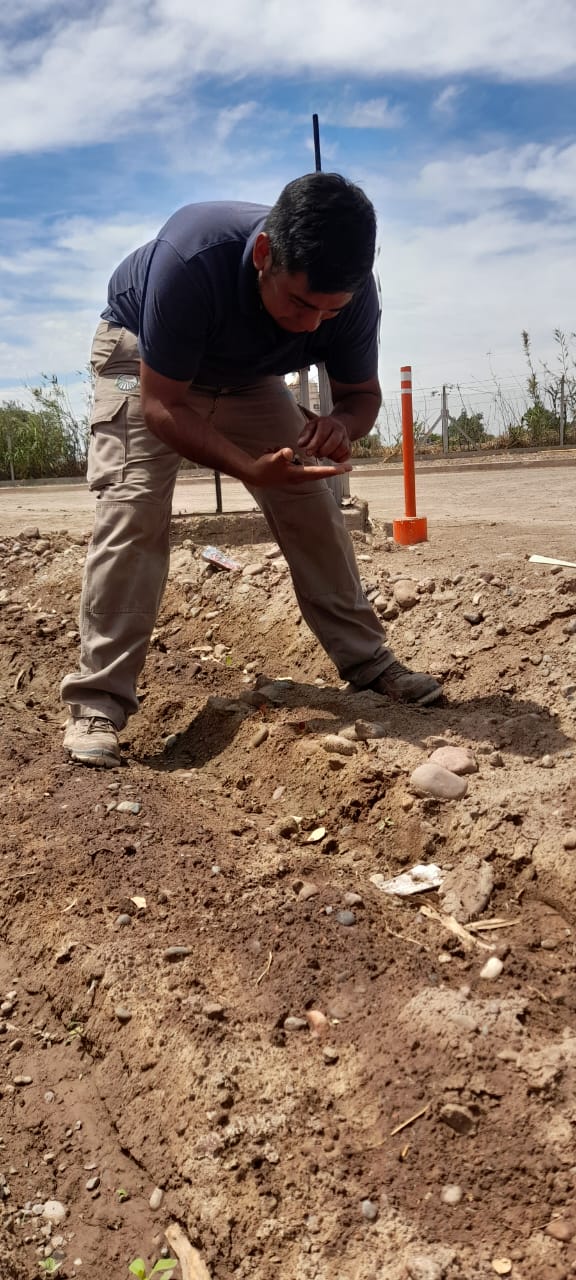 Plantas acuáticas utilizadas en el tratamiento