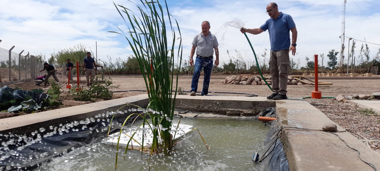 Sistema de aireación forzada