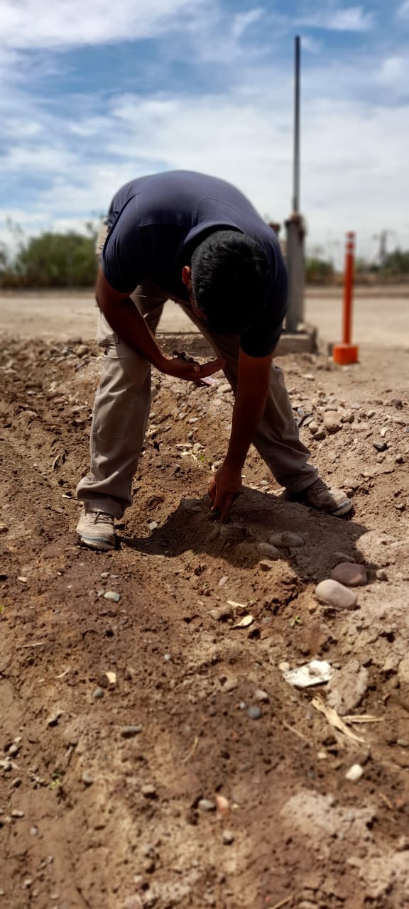 Toma de muestras para análisis