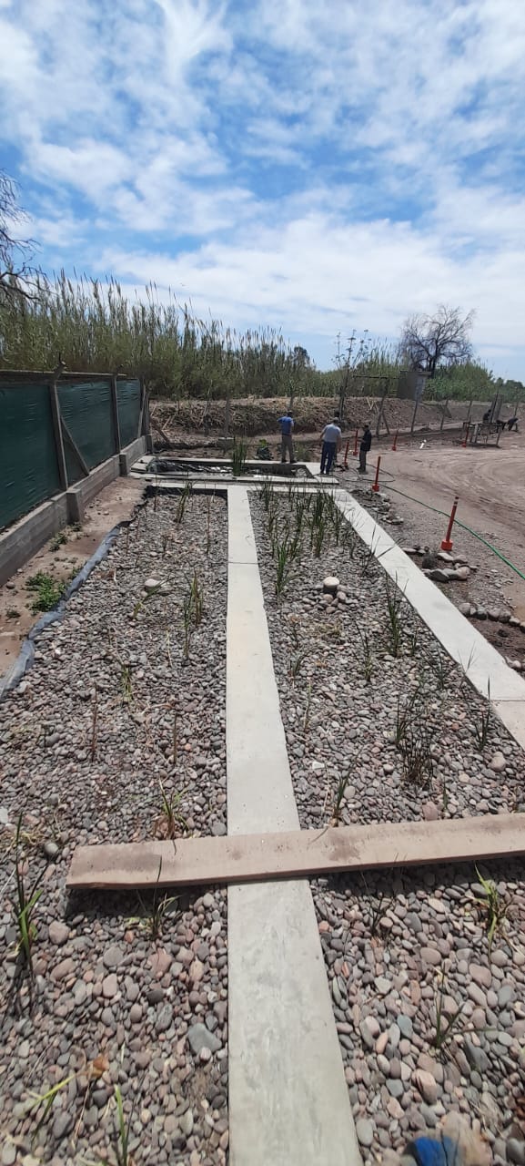 Biodiversidad generada en el humedal